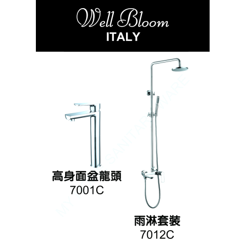 Well Bloom Italy 700CSET2 700 系列亮銀色龍頭連雨淋套裝